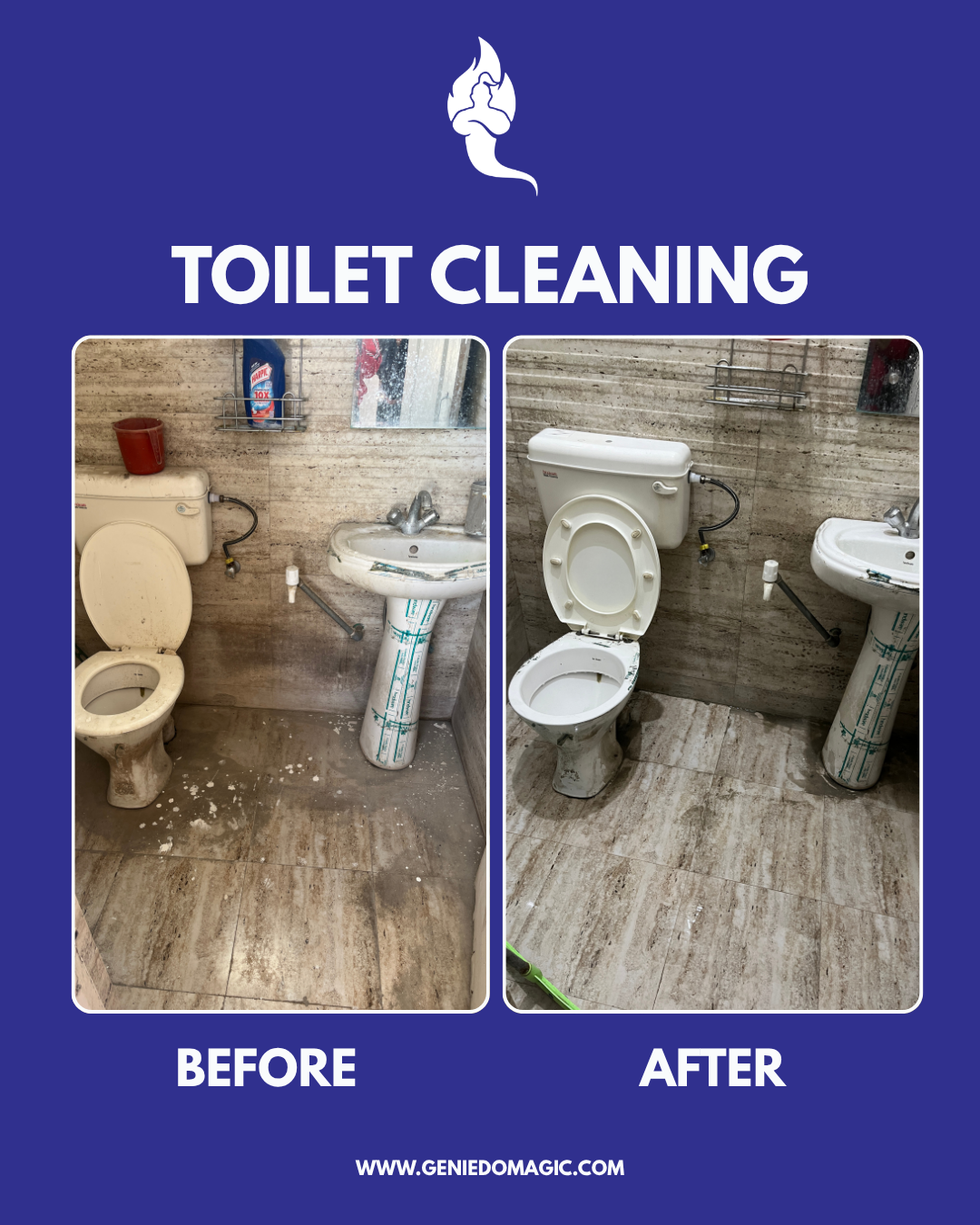 Toilet Cleaning (2)