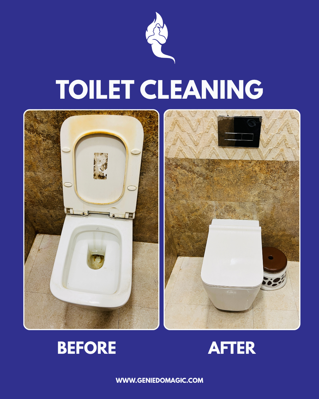 Toilet Cleaning